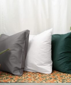 Classic Euro Sham Case Pair